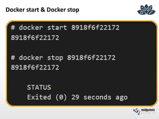 Docker start & Docker stop
 