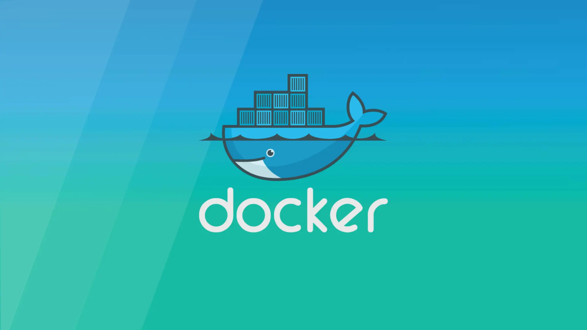 Docker 101 describing basic docker usage