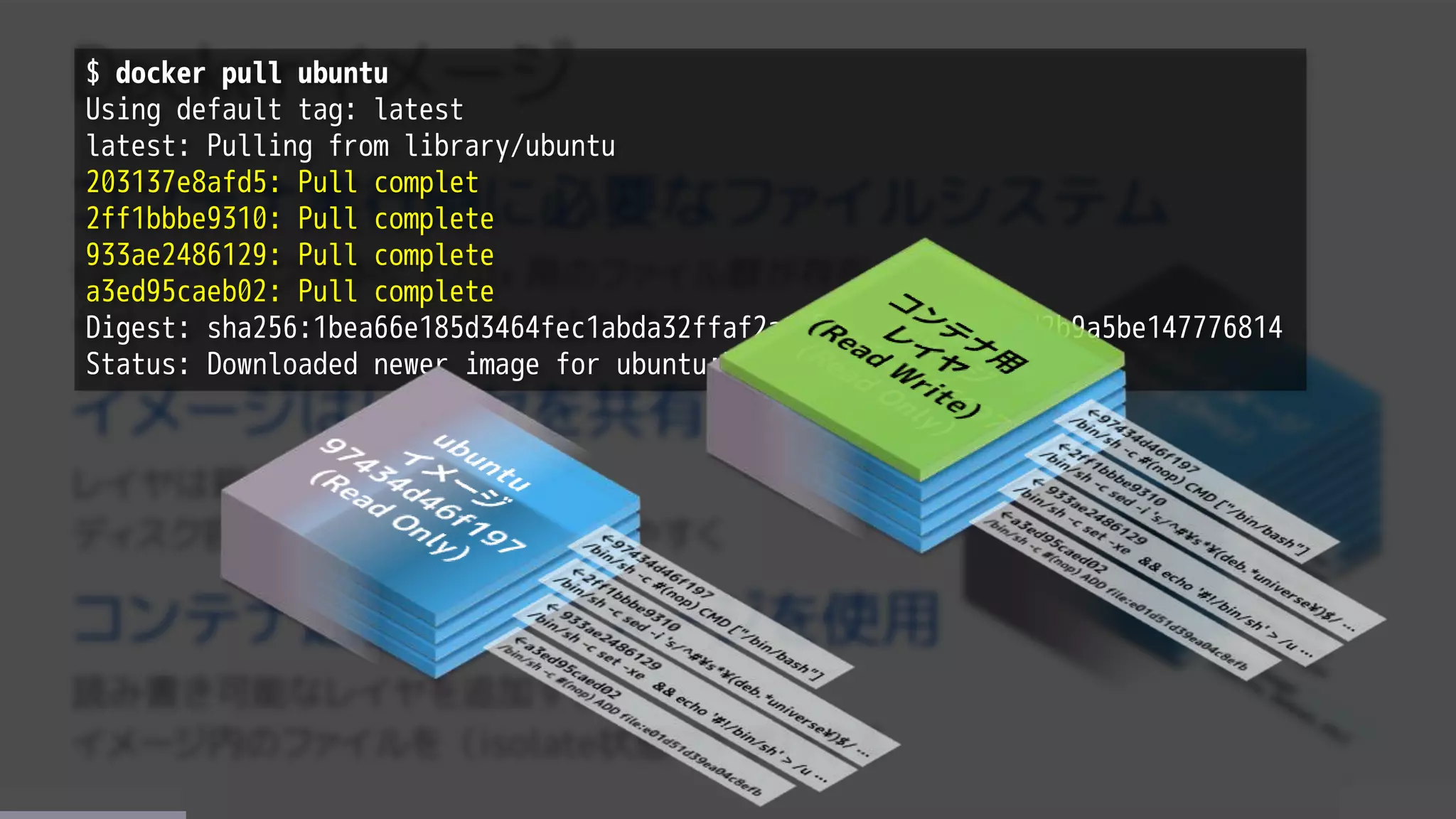 $ docker pull ubuntu
Using default tag: latest
latest: Pulling from library/ubuntu
203137e8afd5: Pull complet
2ff1bbbe9310: Pull complete
933ae2486129: Pull complete
a3ed95caeb02: Pull complete
Digest: sha256:1bea66e185d3464fec1abda32ffaf2a11de69833cfcf81bd2b9a5be147776814
Status: Downloaded newer image for ubuntu:latest/
 