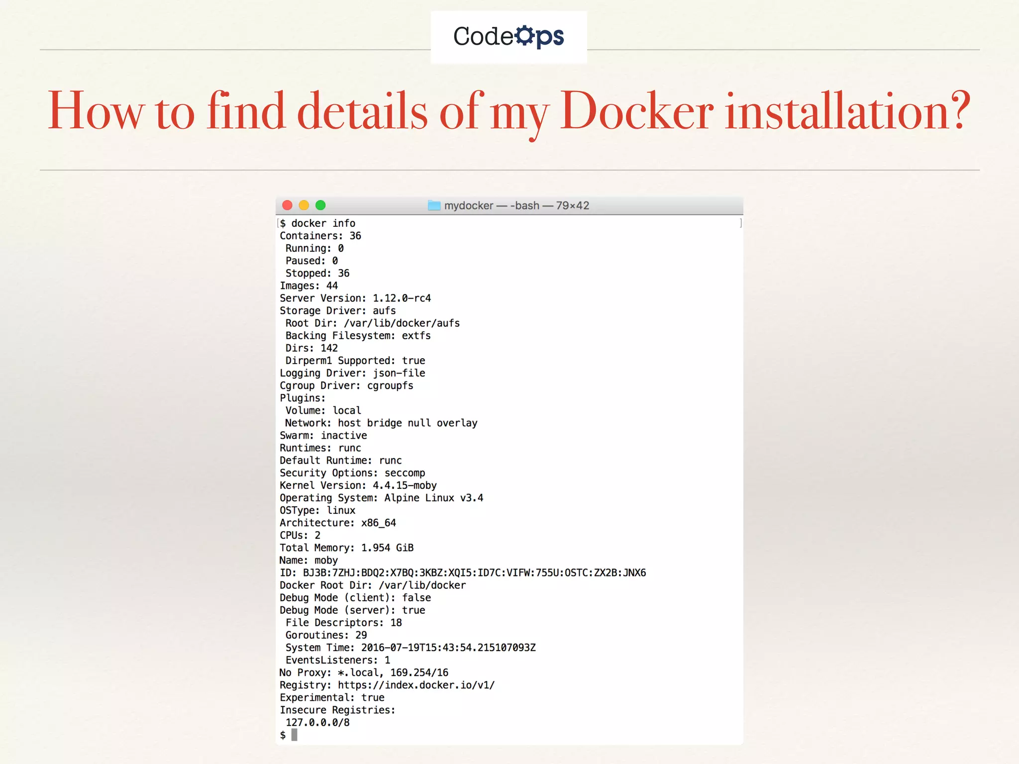 How to find details of my Docker installation?
 