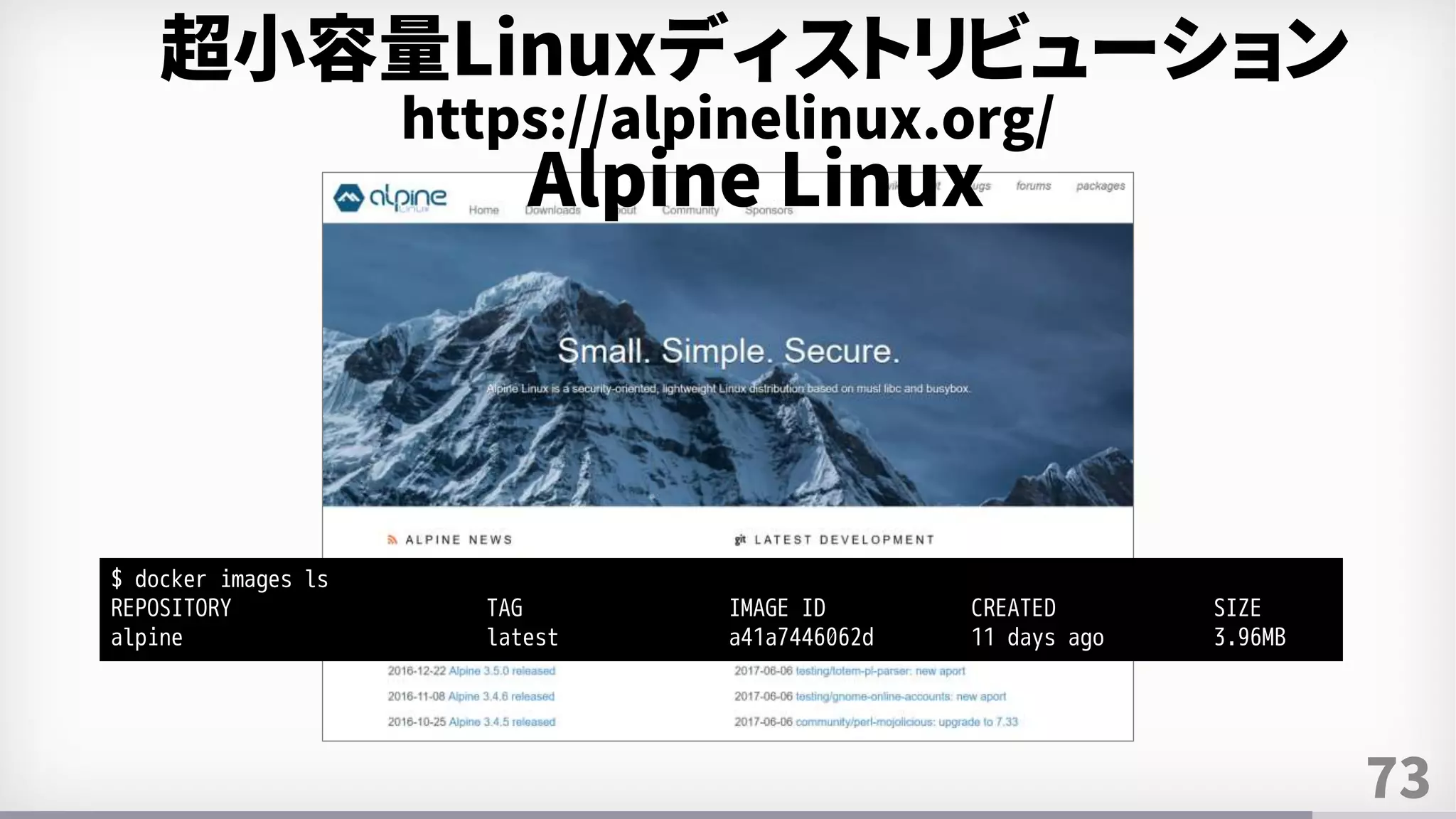 73
https://alpinelinux.org/
超小容量Linuxディストリビューション
Alpine Linux
$ docker images ls
REPOSITORY TAG IMAGE ID CREATED SIZE
alpine latest a41a7446062d 11 days ago 3.96MB
 