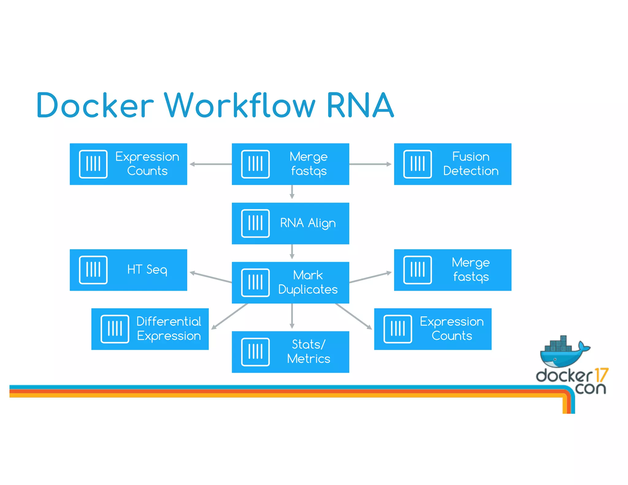 Docker Workflow RNA
Expression
Counts
Merge
fastqs
Mark
Duplicates
RNA Align
HT Seq
Merge
fastqs
Fusion
Detection
Differential
Expression
Stats/
Metrics
Expression
Counts
 