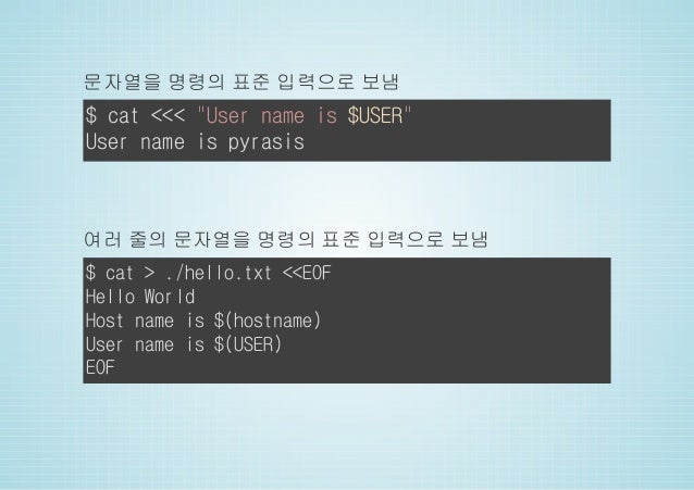 Dockerfile과 Bash