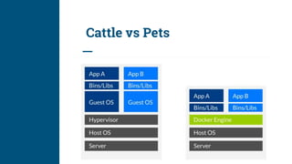 Cattle vs Pets
 