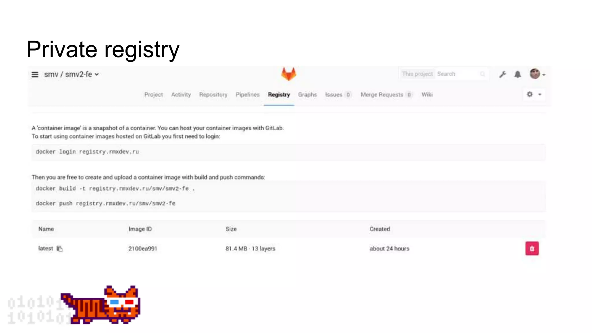 Private registry
 
