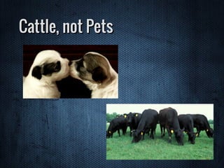 Cattle, not Pets
 