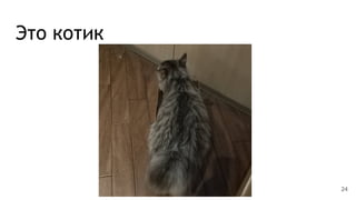 Это котик
24
 