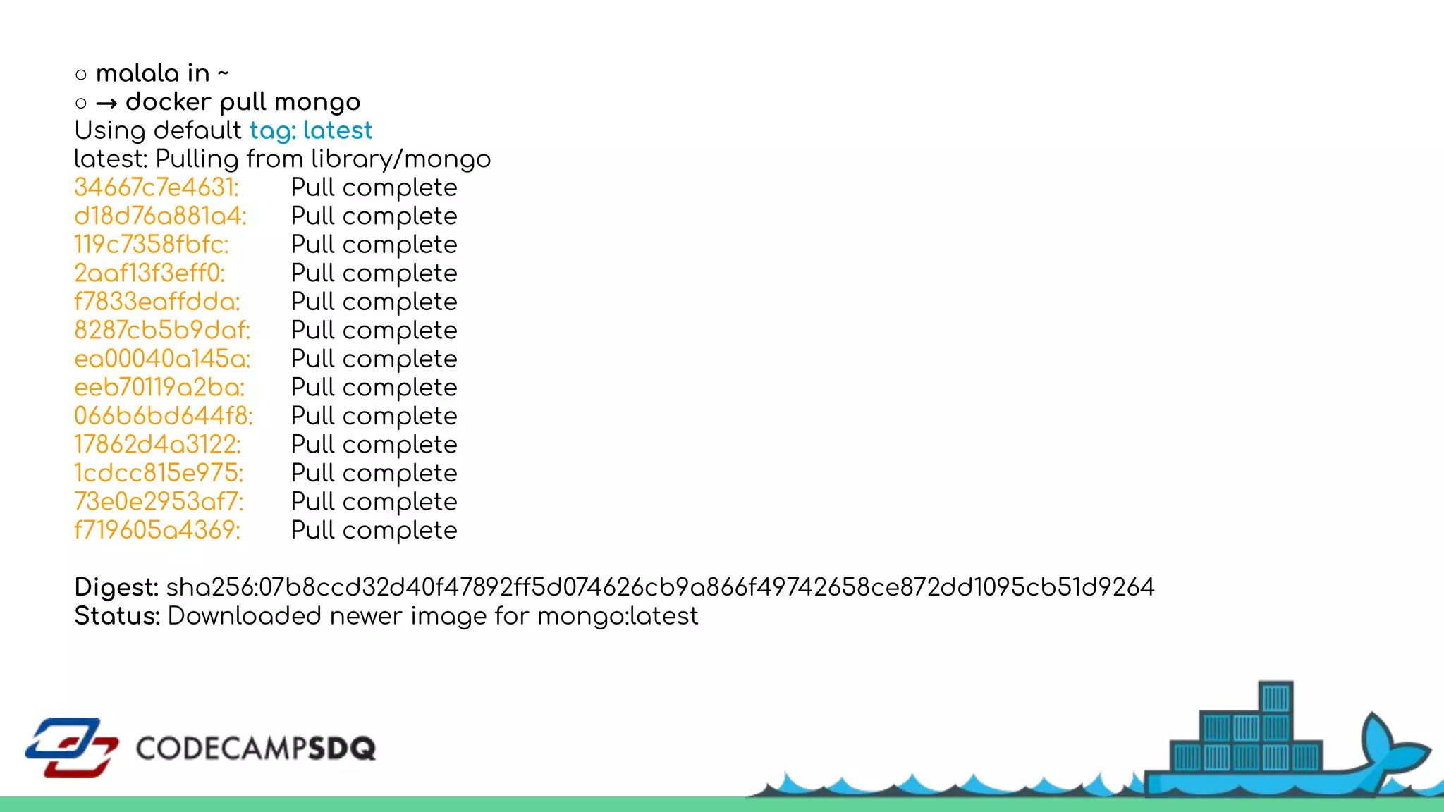 ○ malala in ~
○ → docker pull mongo
Using default tag: latest
latest: Pulling from library/mongo
34667c7e4631: Pull complete
d18d76a881a4: Pull complete
119c7358fbfc: Pull complete
2aaf13f3eff0: Pull complete
f7833eaffdda: Pull complete
8287cb5b9daf: Pull complete
ea00040a145a: Pull complete
eeb70119a2ba: Pull complete
066b6bd644f8: Pull complete
17862d4a3122: Pull complete
1cdcc815e975: Pull complete
73e0e2953af7: Pull complete
f719605a4369: Pull complete
Digest: sha256:07b8ccd32d40f47892ff5d074626cb9a866f49742658ce872dd1095cb51d9264
Status: Downloaded newer image for mongo:latest
 