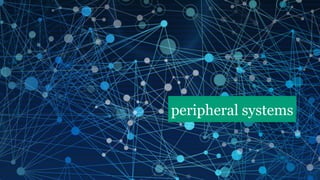 peripheral systems
 