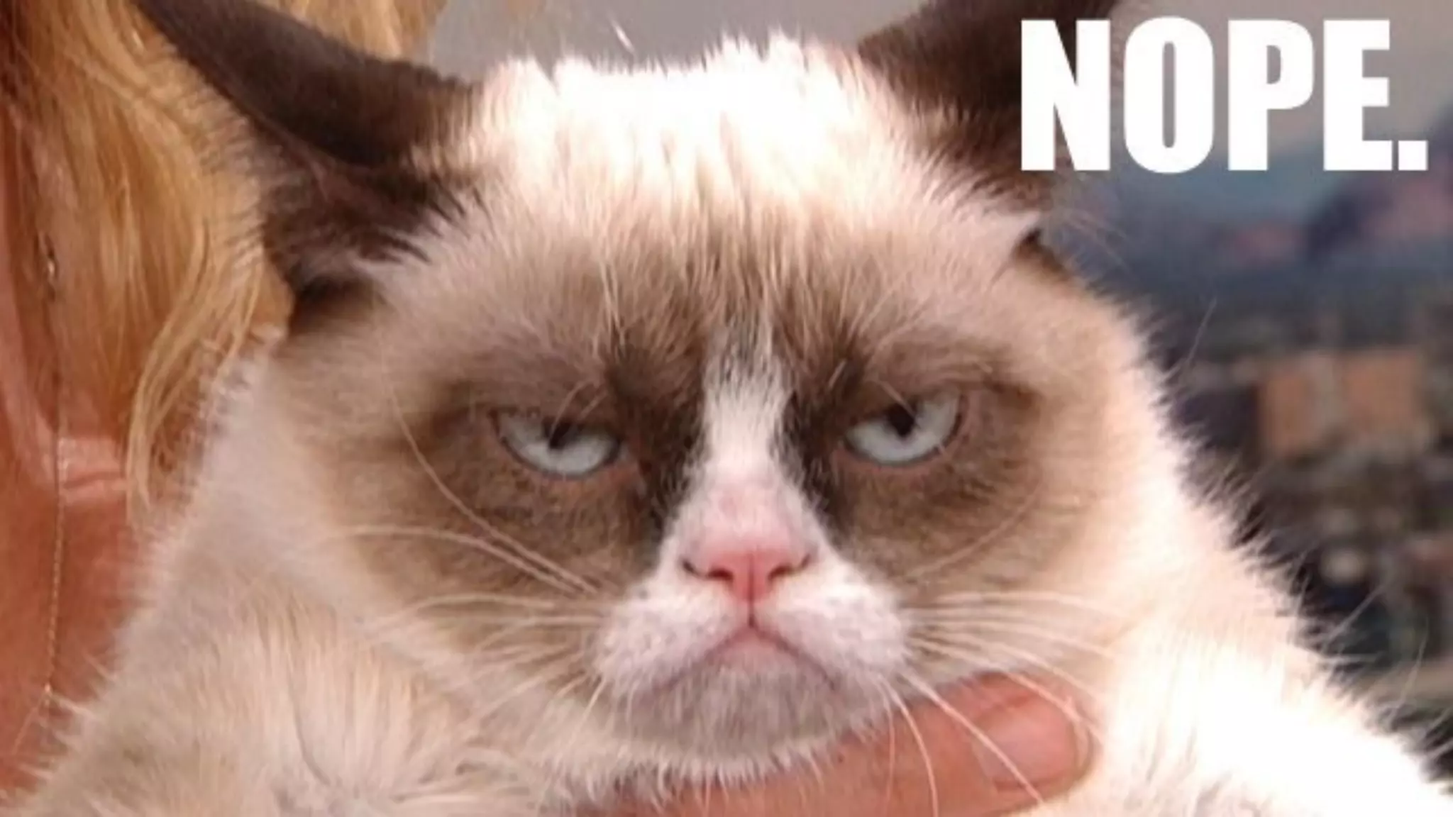 © 2015 Kontena, Inc.
 