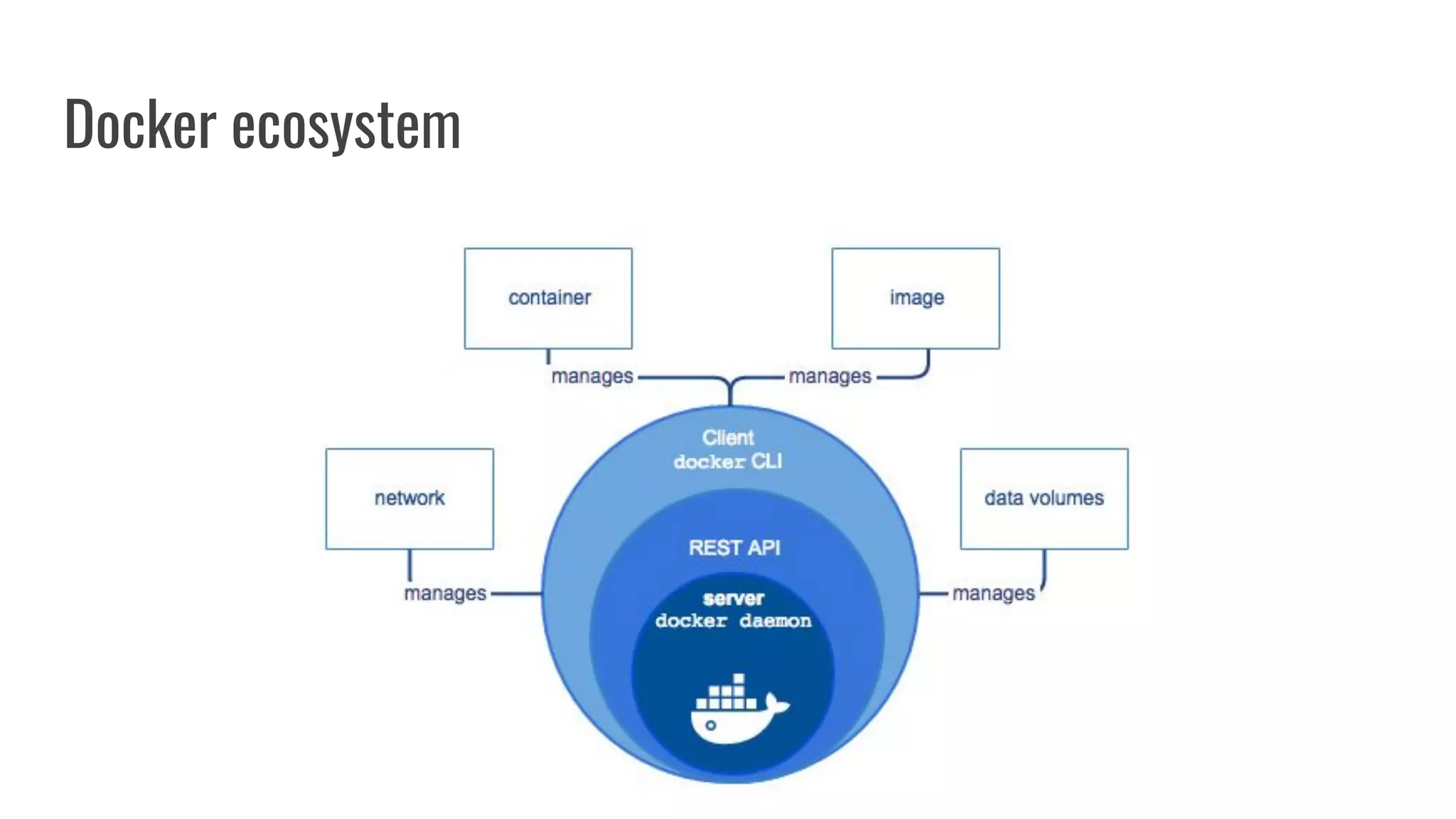 Docker ecosystem
 