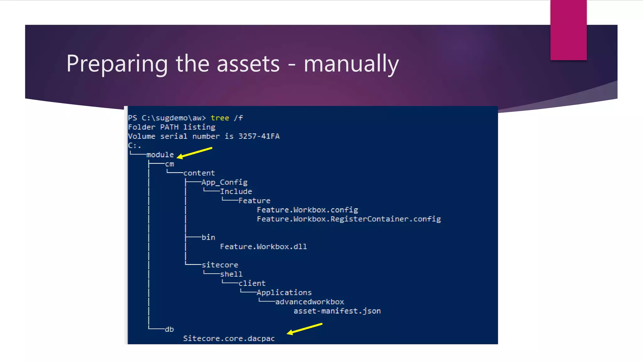 Preparing the assets - manually
 