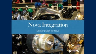 Nova Integration 
Docker plugin for Nova 
 