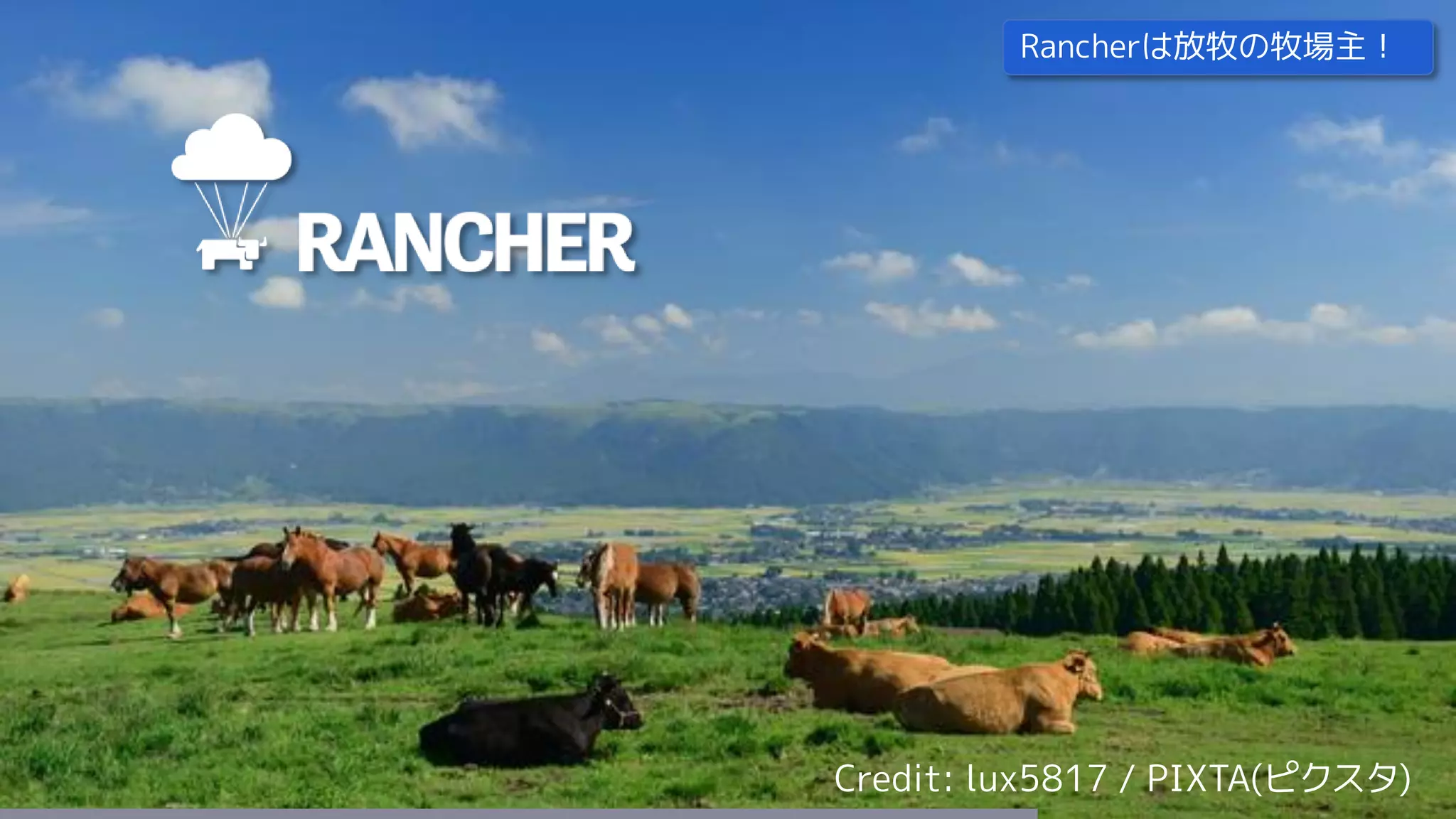 62Credit: lux5817 / PIXTA(ピクスタ)
Rancherは放牧の牧場主！
 