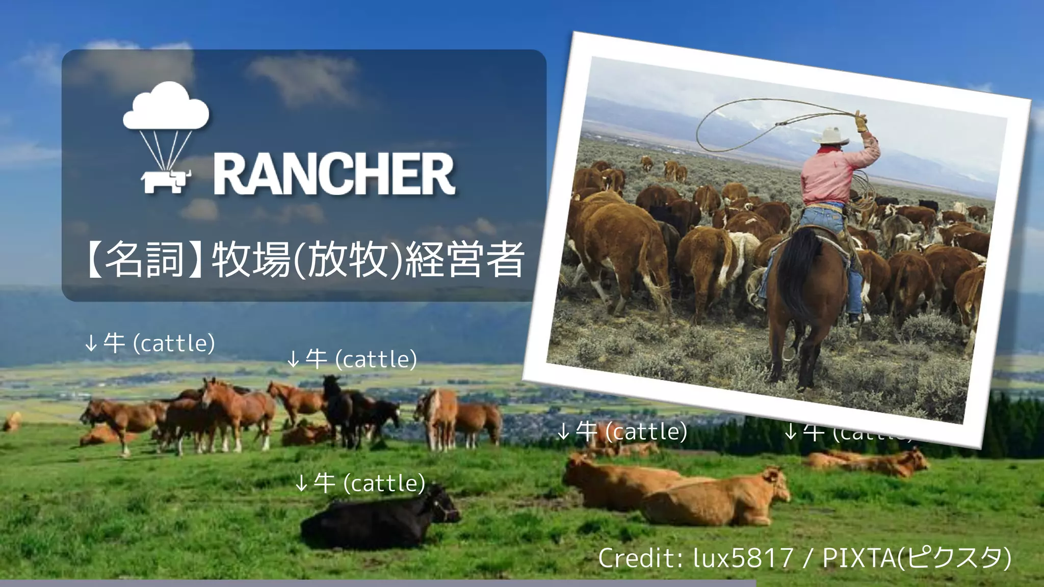 63
↓牛 (cattle)
↓牛 (cattle)
↓牛 (cattle)
↓牛 (cattle) ↓牛 (cattle)
【名詞】牧場(放牧)経営者
Credit: lux5817 / PIXTA(ピクスタ)
 