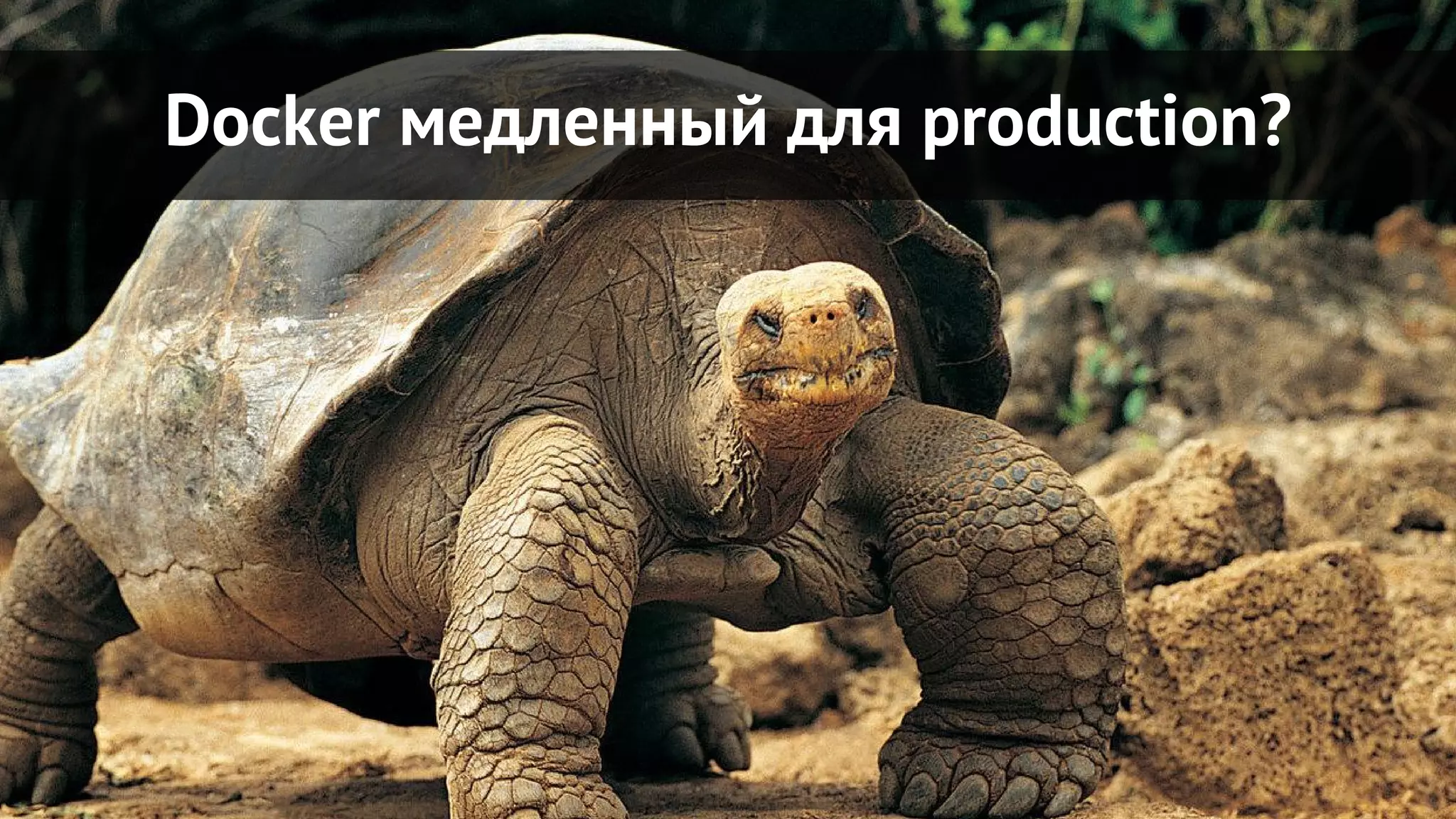 Docker медленный для production?
 