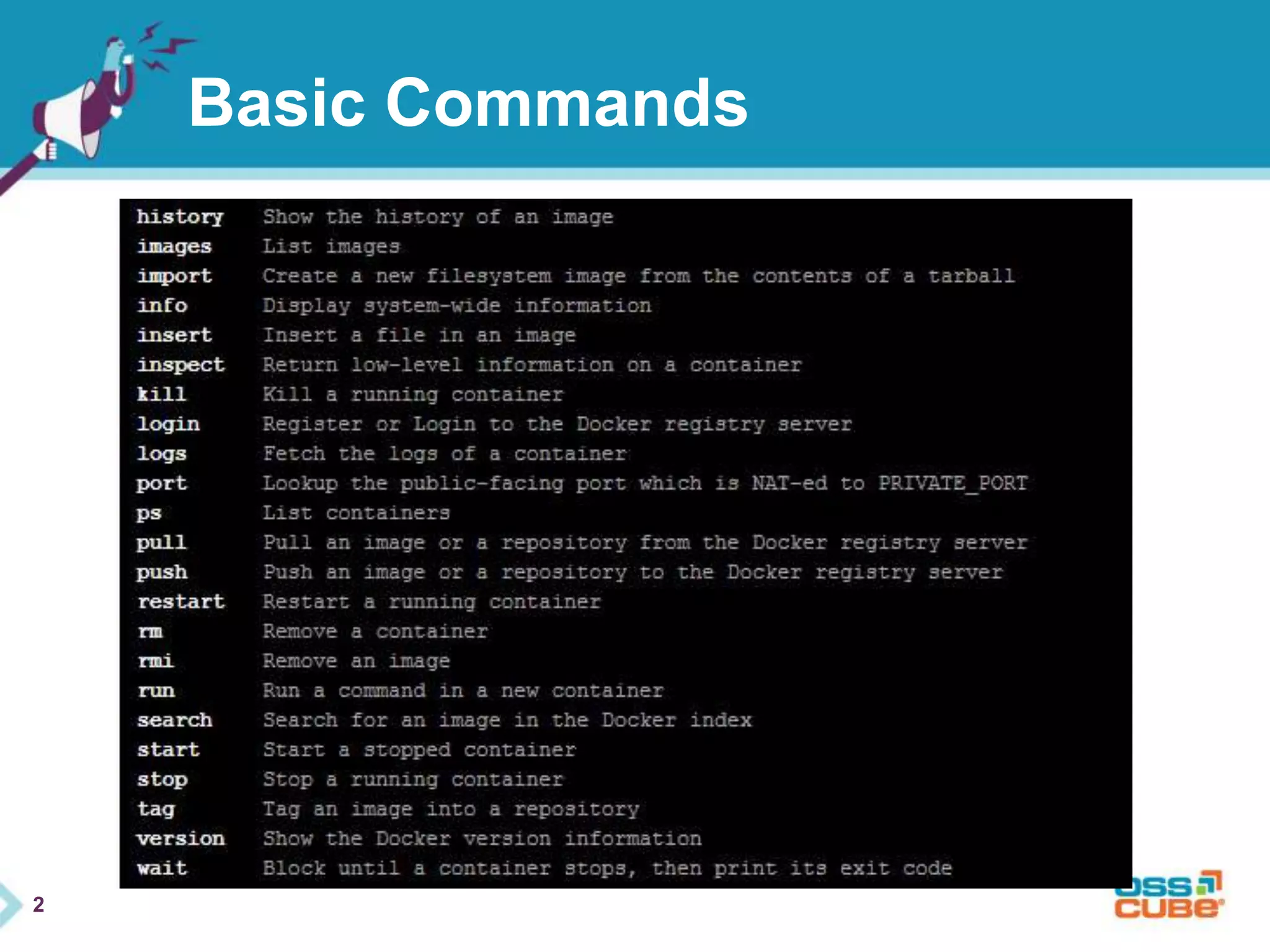 2 
Basic Commands 
 
