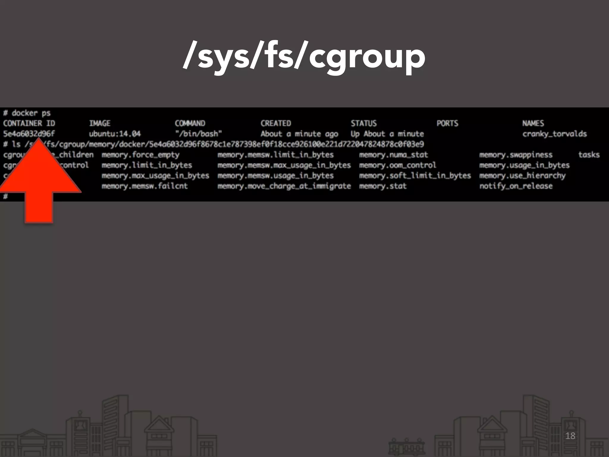 /sys/fs/cgroup 
18 
 