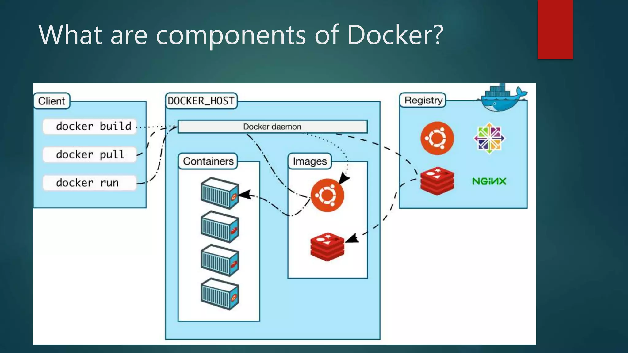 What are components of Docker?
 