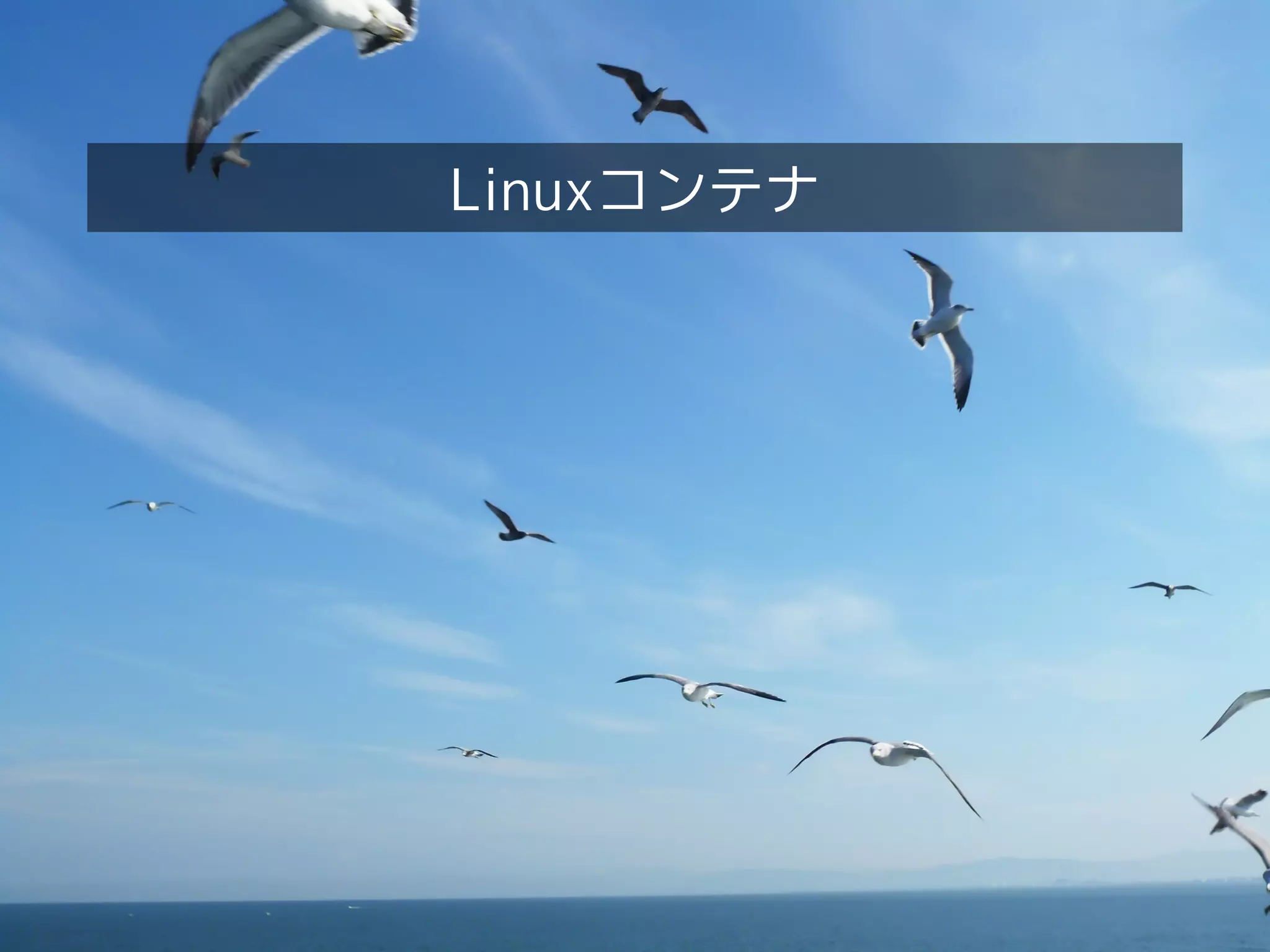 Linux女子部 Dockerを支える技術
Linuxコンテナ
 