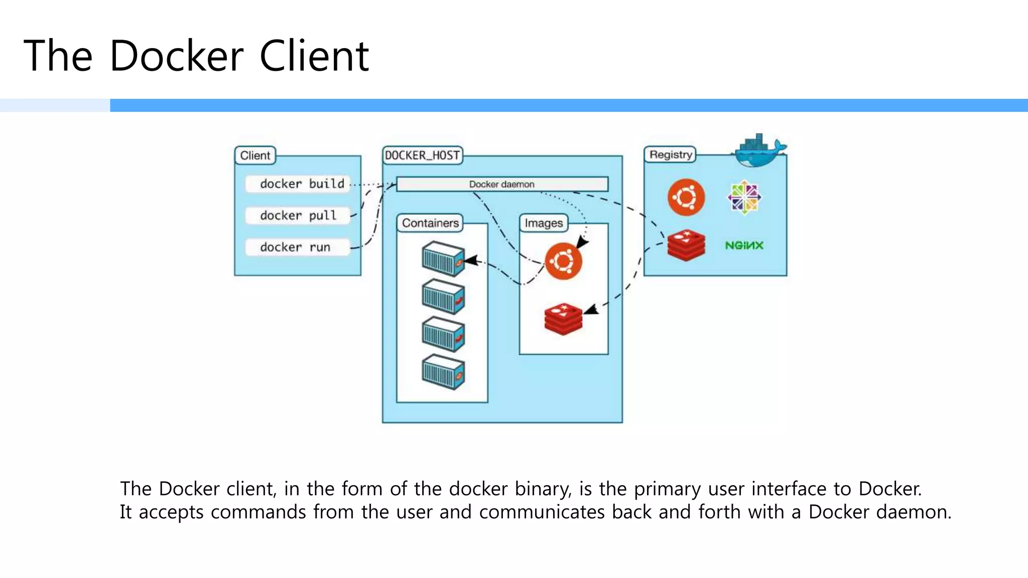 The Docker Client
The Docker client, in the form of the docker binary, is the primary user interface to Docker.
It accepts commands from the user and communicates back and forth with a Docker daemon.
Docker daemon 과의 Interface 를 위한 시스템!!!
 