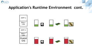 Application's Runtime Environment cont.
 