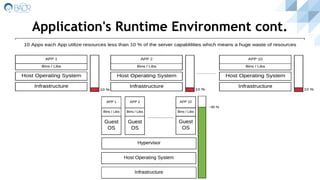 Application's Runtime Environment cont.
 