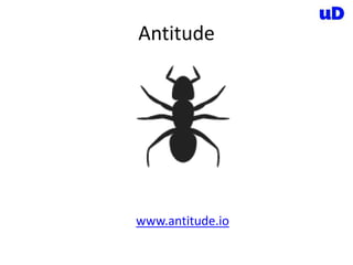 Antitude
www.antitude.io
 