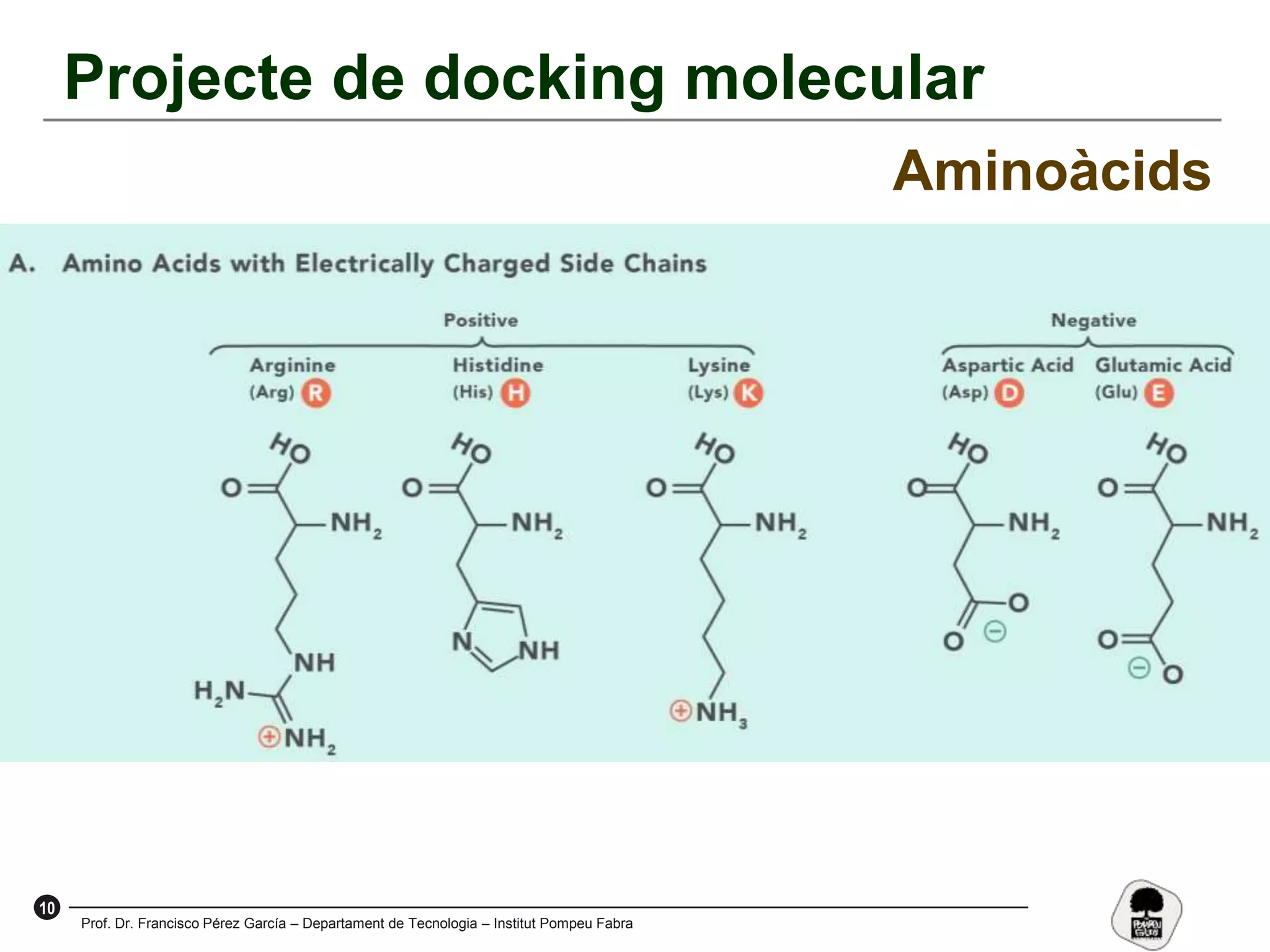 10
Prof. Dr. Francisco Pérez García – Departament de Tecnologia – Institut Pompeu Fabra
Projecte de docking molecular
Aminoàcids
 