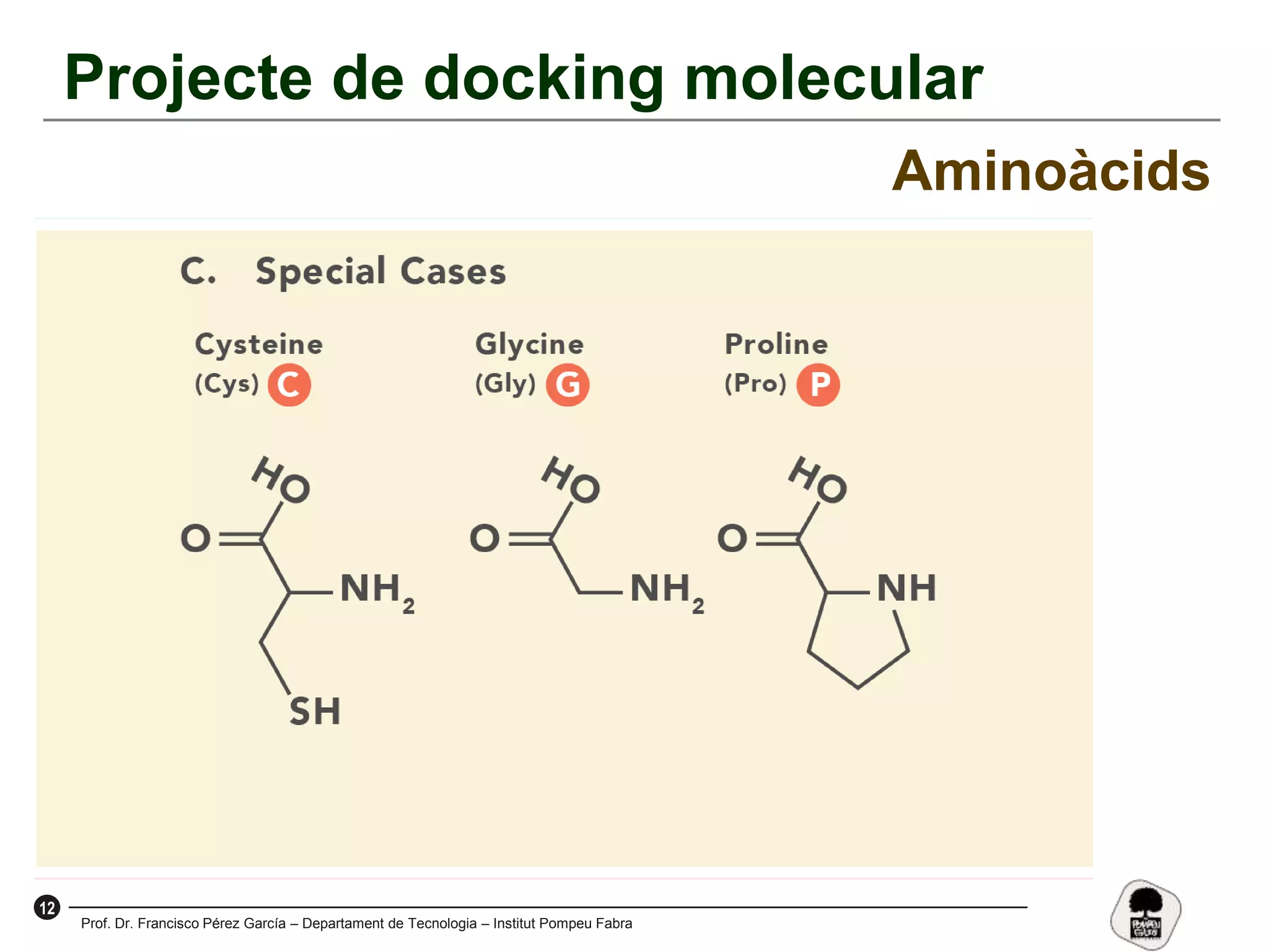12
Prof. Dr. Francisco Pérez García – Departament de Tecnologia – Institut Pompeu Fabra
Projecte de docking molecular
Aminoàcids
 