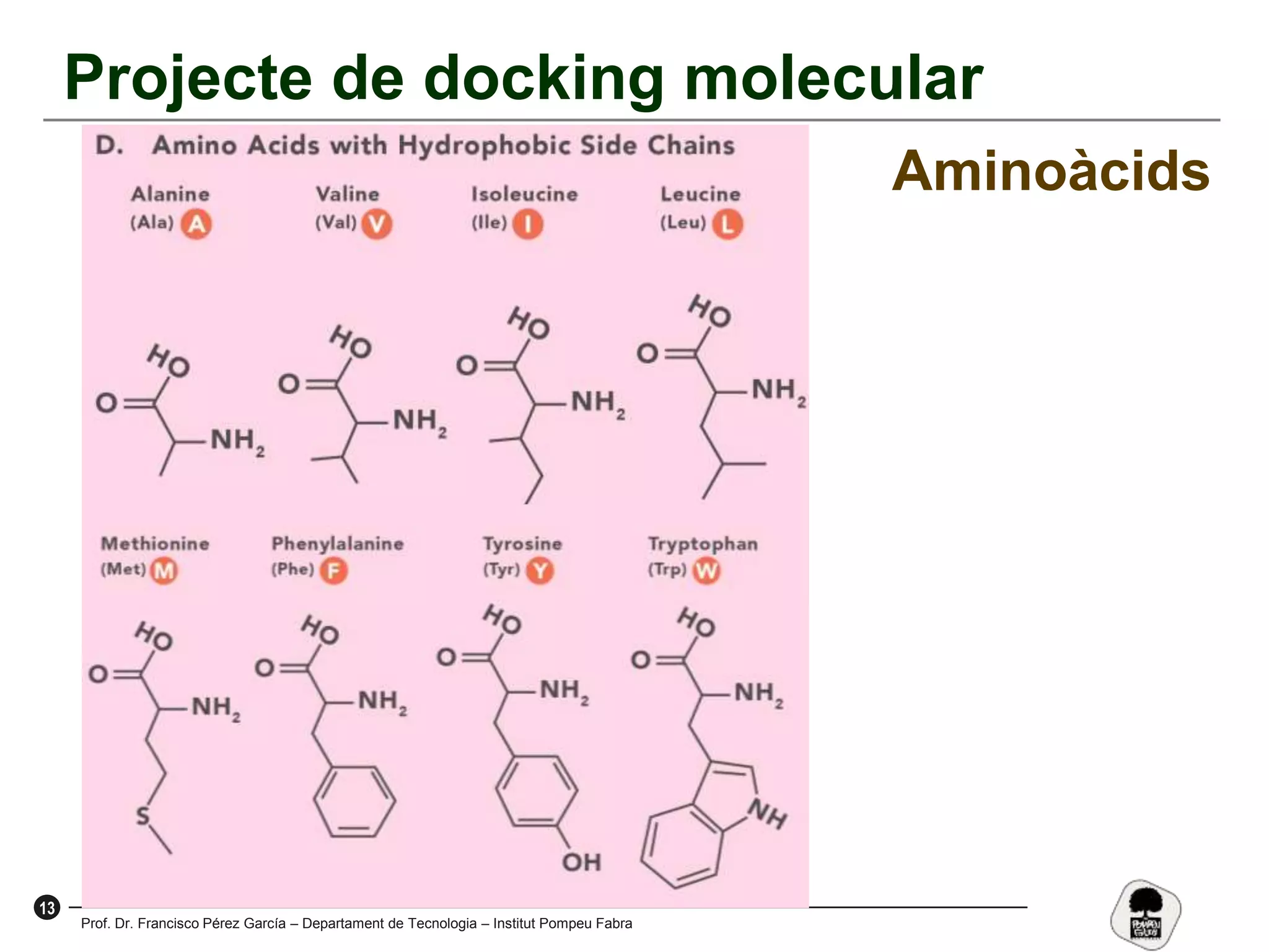 13
Prof. Dr. Francisco Pérez García – Departament de Tecnologia – Institut Pompeu Fabra
Projecte de docking molecular
Aminoàcids
 