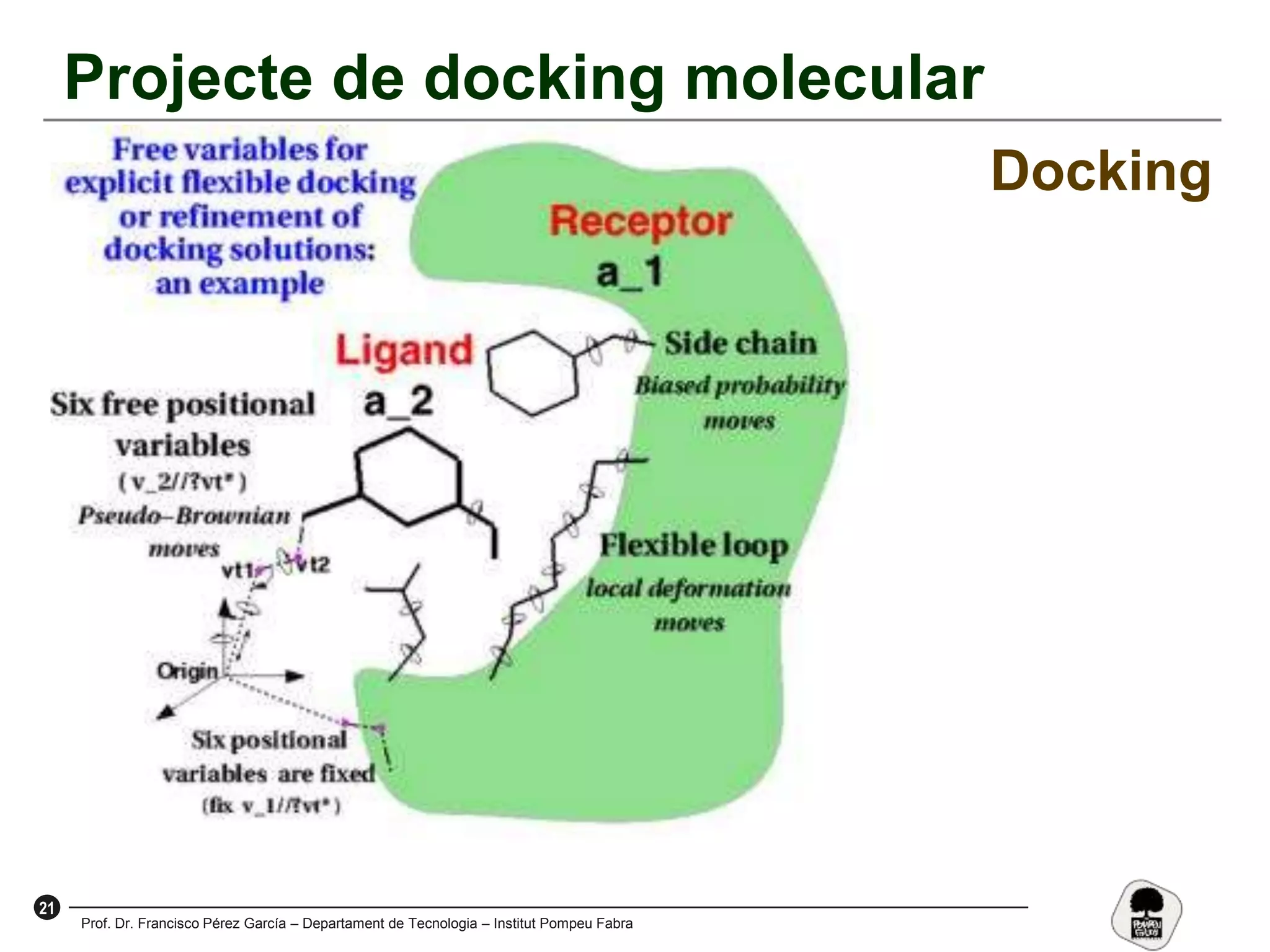 21
Prof. Dr. Francisco Pérez García – Departament de Tecnologia – Institut Pompeu Fabra
Projecte de docking molecular
Docking
 