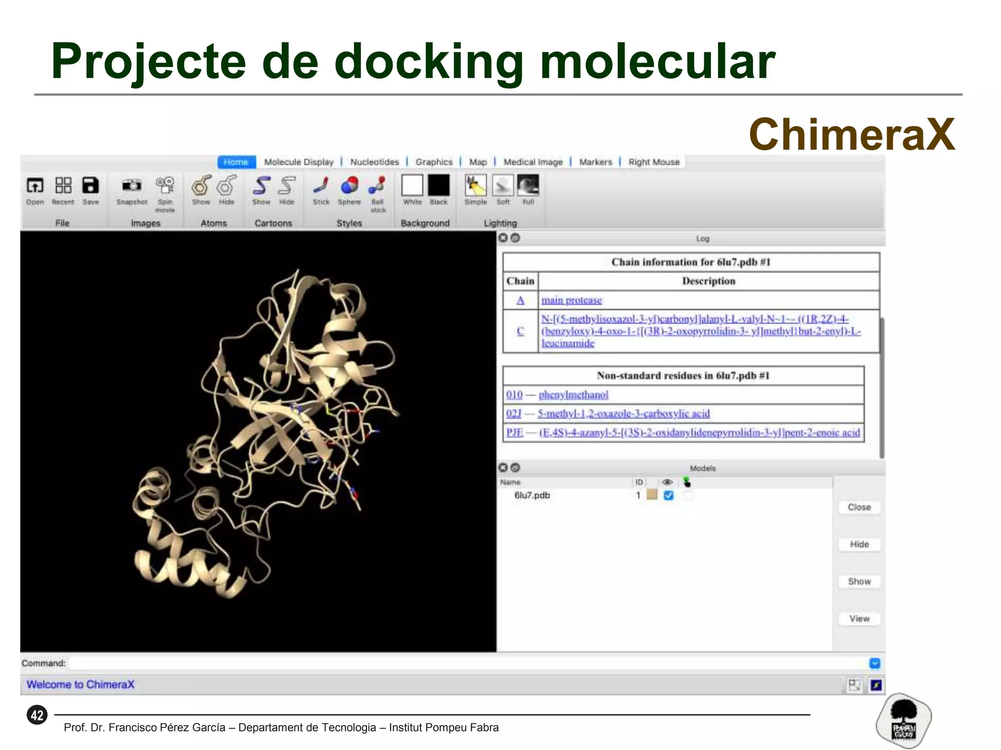42
Prof. Dr. Francisco Pérez García – Departament de Tecnologia – Institut Pompeu Fabra
Projecte de docking molecular
ChimeraX
 