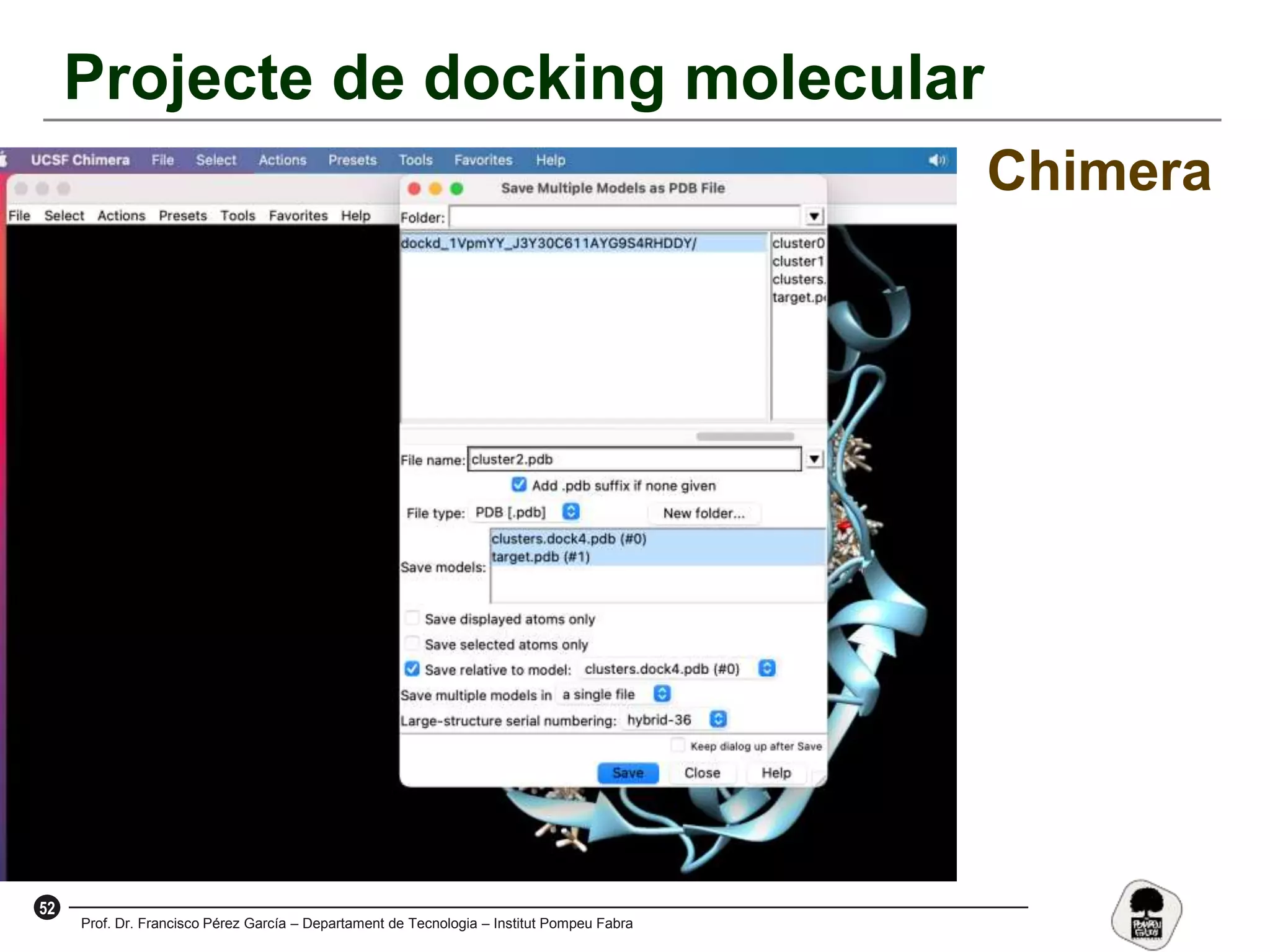 52
Prof. Dr. Francisco Pérez García – Departament de Tecnologia – Institut Pompeu Fabra
Projecte de docking molecular
Chimera
 