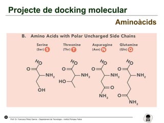 11
Prof. Dr. Francisco Pérez García – Departament de Tecnologia – Institut Pompeu Fabra
Projecte de docking molecular
Aminoàcids
 