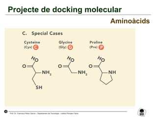 12
Prof. Dr. Francisco Pérez García – Departament de Tecnologia – Institut Pompeu Fabra
Projecte de docking molecular
Aminoàcids
 