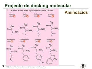 13
Prof. Dr. Francisco Pérez García – Departament de Tecnologia – Institut Pompeu Fabra
Projecte de docking molecular
Aminoàcids
 