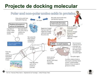 14
Prof. Dr. Francisco Pérez García – Departament de Tecnologia – Institut Pompeu Fabra
Projecte de docking molecular
 