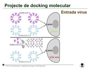 17
Prof. Dr. Francisco Pérez García – Departament de Tecnologia – Institut Pompeu Fabra
Projecte de docking molecular
Entrada virus
 