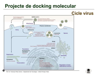 18
Prof. Dr. Francisco Pérez García – Departament de Tecnologia – Institut Pompeu Fabra
Projecte de docking molecular
Cicle virus
 