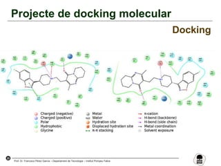 20
Prof. Dr. Francisco Pérez García – Departament de Tecnologia – Institut Pompeu Fabra
Projecte de docking molecular
Docking
 