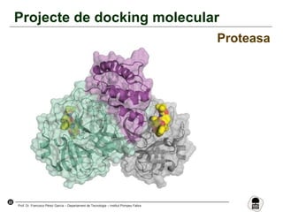 22
Prof. Dr. Francisco Pérez García – Departament de Tecnologia – Institut Pompeu Fabra
Projecte de docking molecular
Proteasa
 