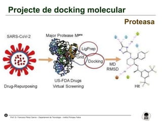 23
Prof. Dr. Francisco Pérez García – Departament de Tecnologia – Institut Pompeu Fabra
Projecte de docking molecular
Proteasa
 