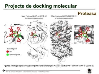 25
Prof. Dr. Francisco Pérez García – Departament de Tecnologia – Institut Pompeu Fabra
Projecte de docking molecular
Proteasa
 