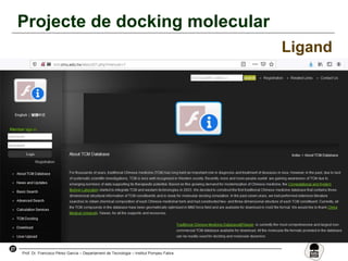27
Prof. Dr. Francisco Pérez García – Departament de Tecnologia – Institut Pompeu Fabra
Projecte de docking molecular
Ligand
 