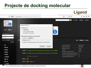 32
Prof. Dr. Francisco Pérez García – Departament de Tecnologia – Institut Pompeu Fabra
Projecte de docking molecular
Ligand
 