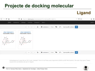 33
Prof. Dr. Francisco Pérez García – Departament de Tecnologia – Institut Pompeu Fabra
Projecte de docking molecular
Ligand
 