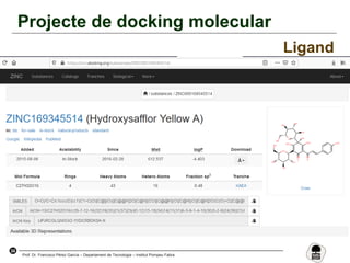 34
Prof. Dr. Francisco Pérez García – Departament de Tecnologia – Institut Pompeu Fabra
Projecte de docking molecular
Ligand
 