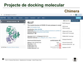 35
Prof. Dr. Francisco Pérez García – Departament de Tecnologia – Institut Pompeu Fabra
Projecte de docking molecular
Chimera
 
