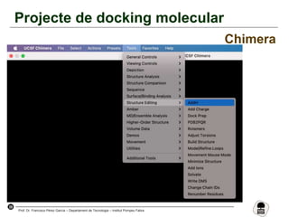 39
Prof. Dr. Francisco Pérez García – Departament de Tecnologia – Institut Pompeu Fabra
Projecte de docking molecular
Chimera
 